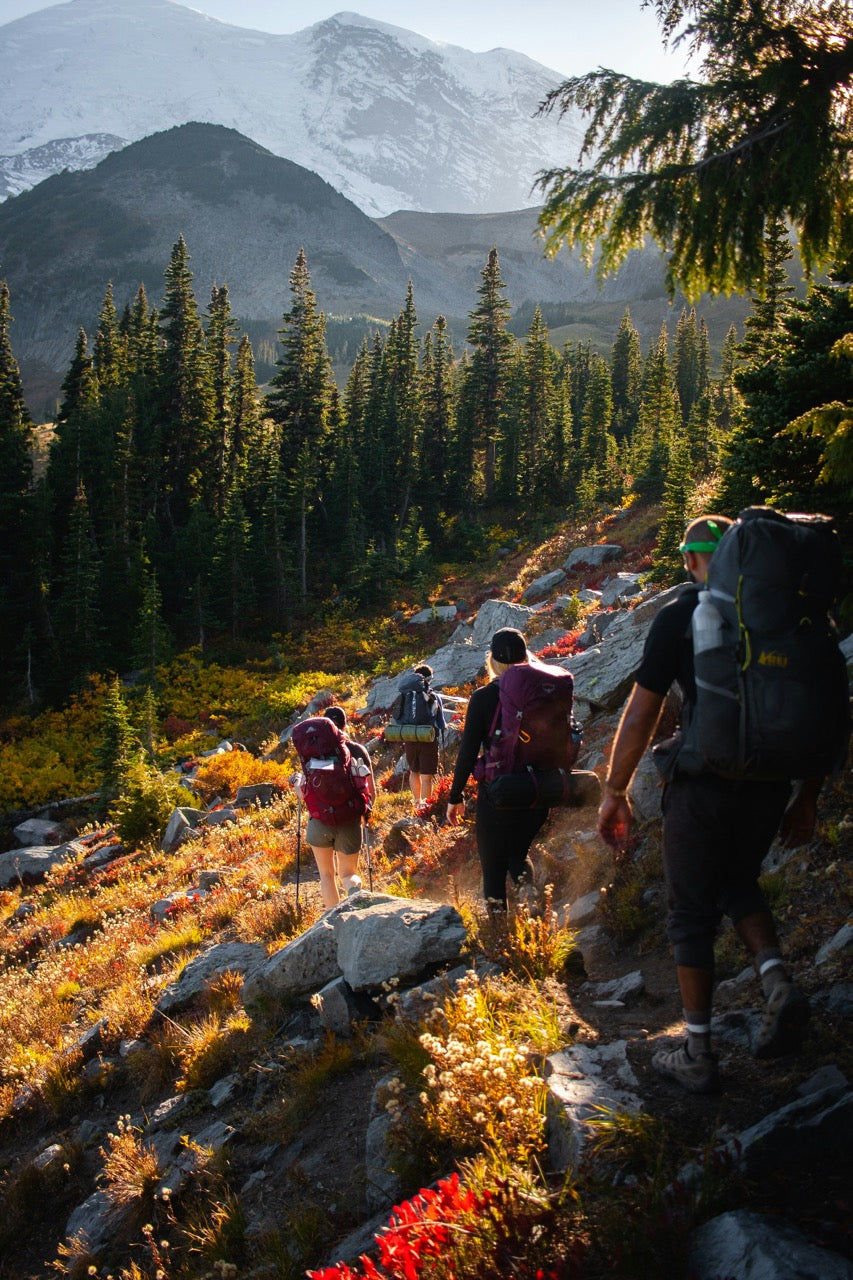 OEM_trekking_poles